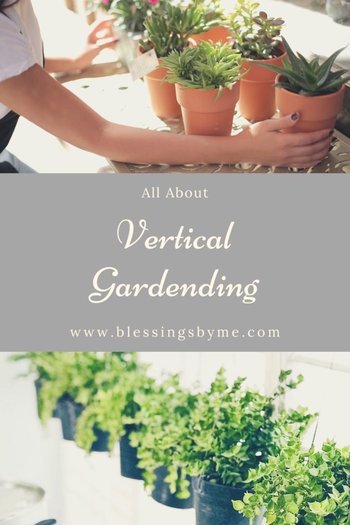 All About Vertical Gardening PIN