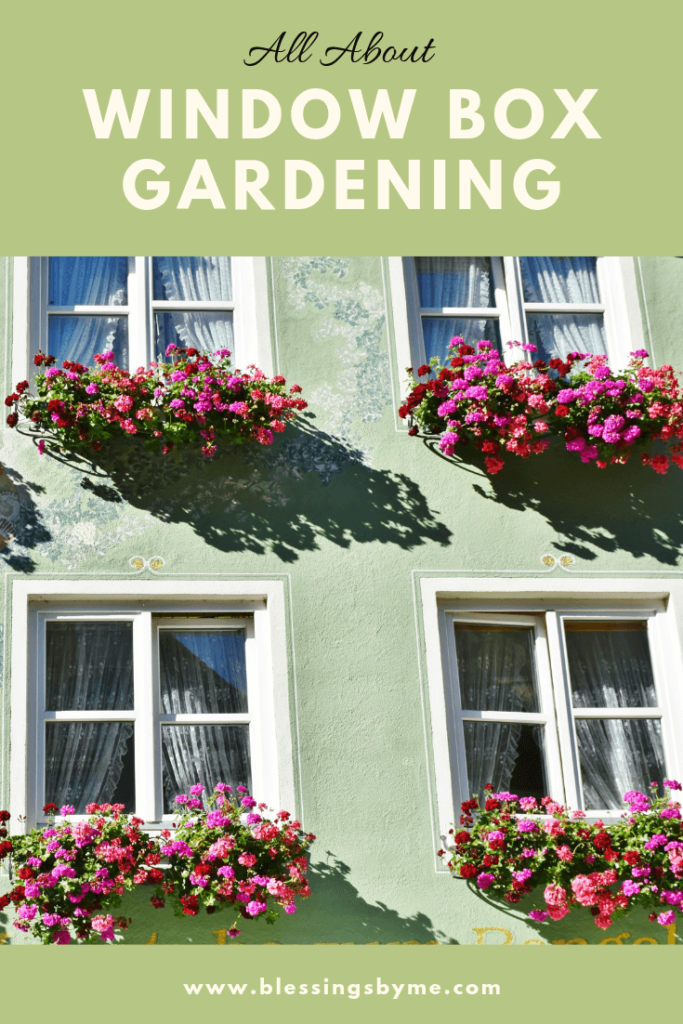 All About Window Box Gardening