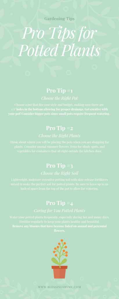 Pro Tips for Potted Plants Infographic