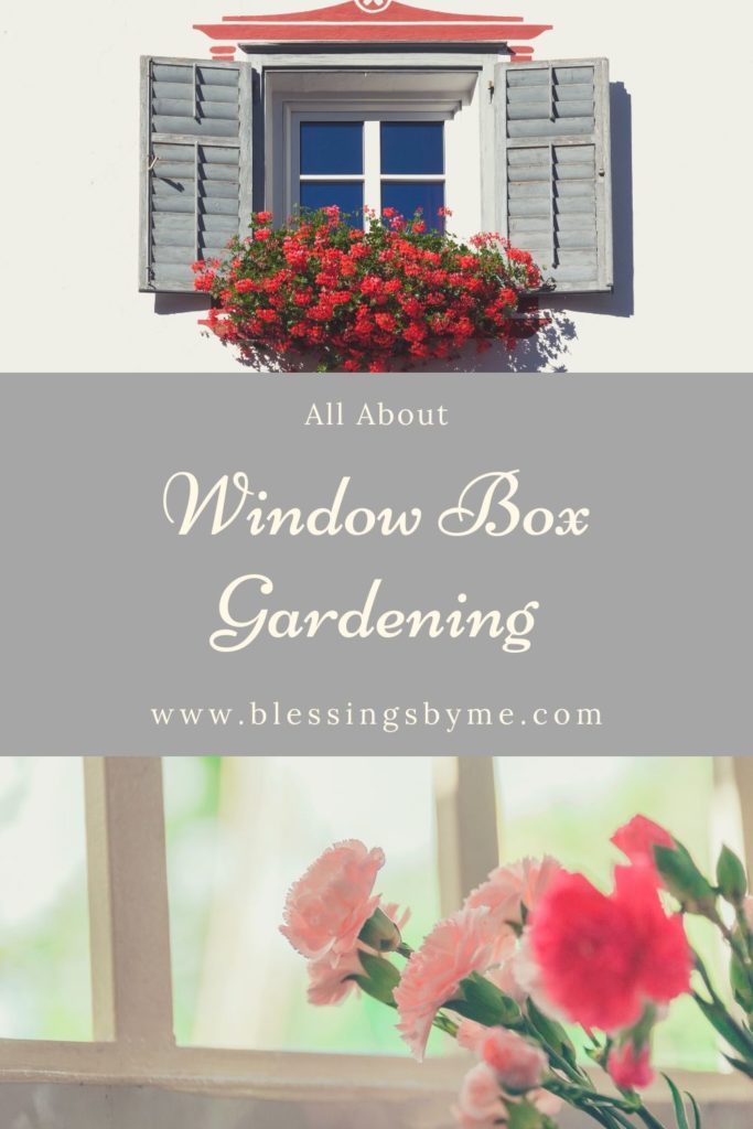 All About Window Box Gardening Pin