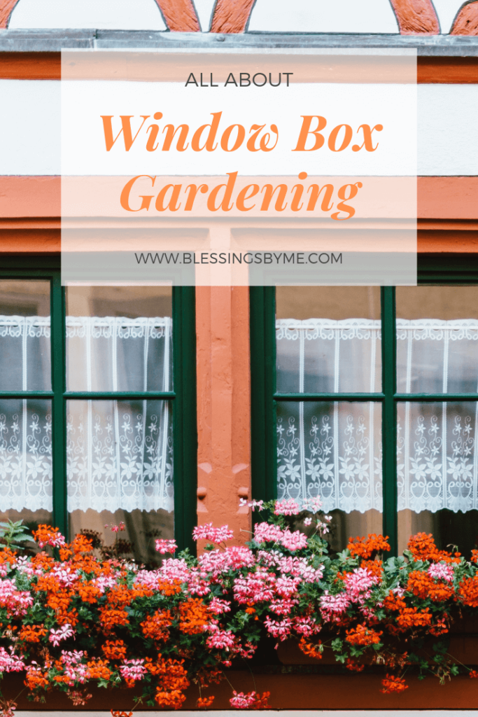 All You Need to Know About Window Box Gardening