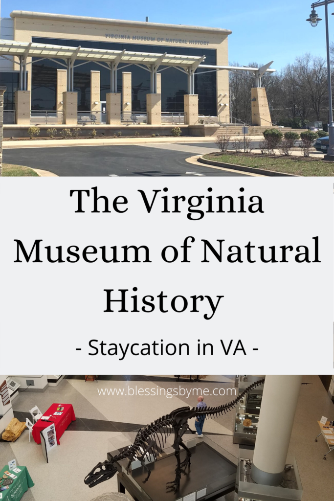 The Virginia Museum Of Natural History Pin