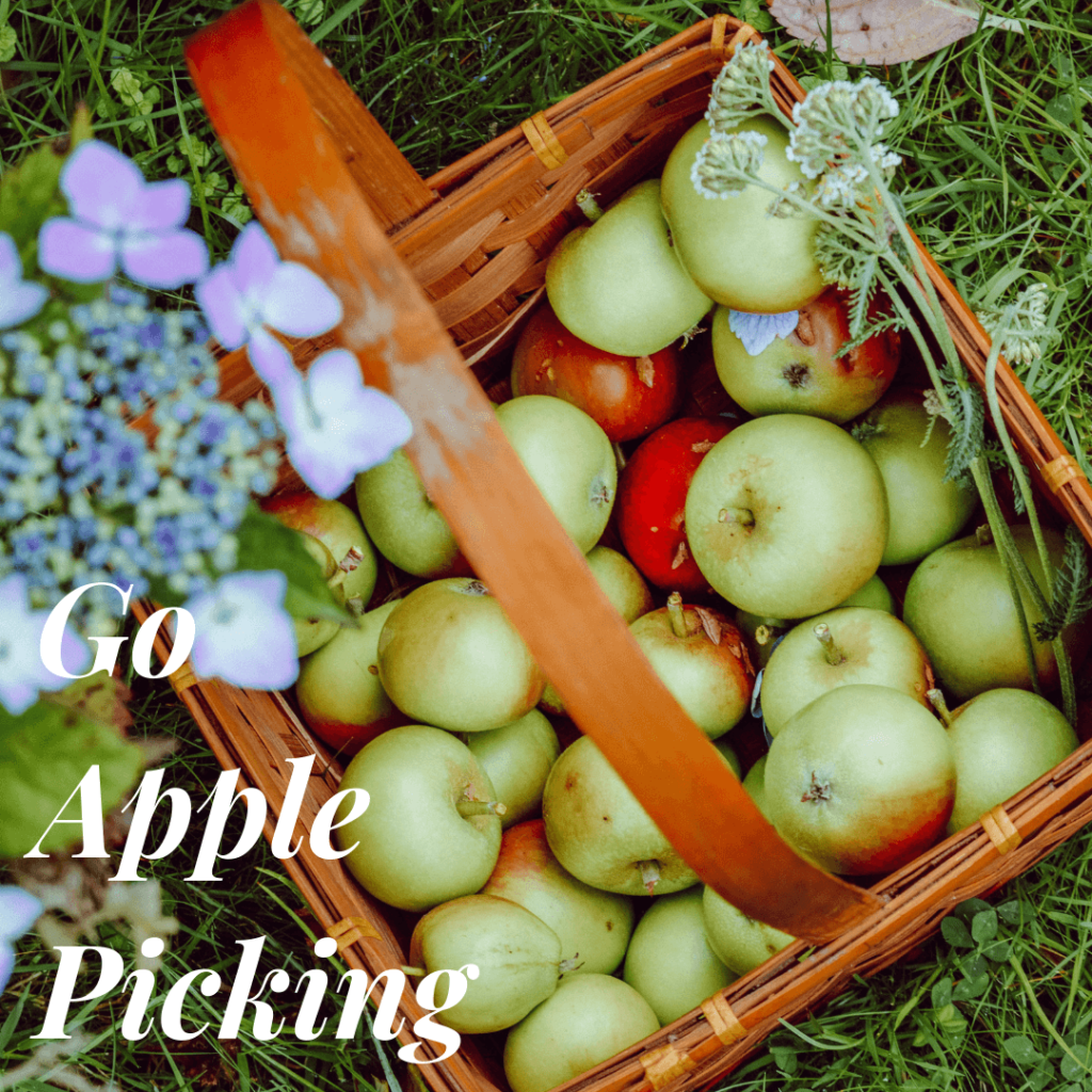 Apple Picking - fall family activities