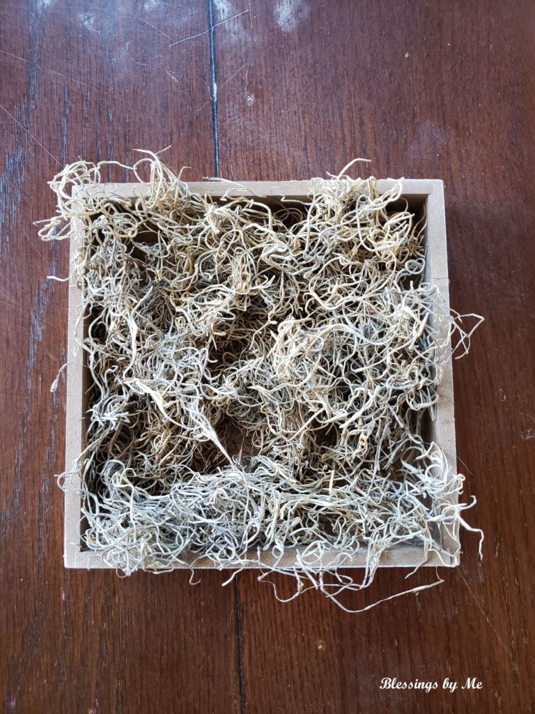 add moss to the box