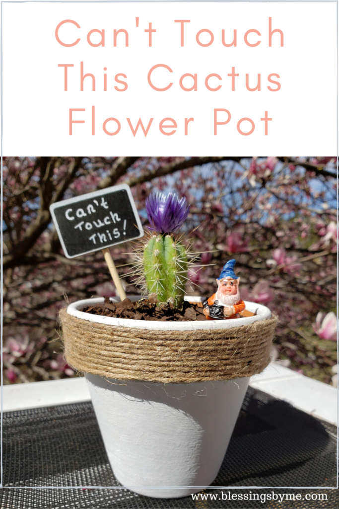Can't touch this cactus flower pot