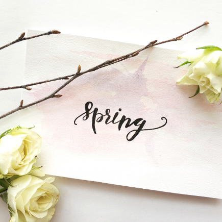 20 Free Spring Bucket List Ideas with Free Printable