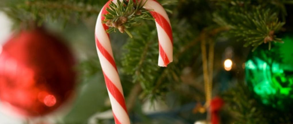hang candy canes on the tree