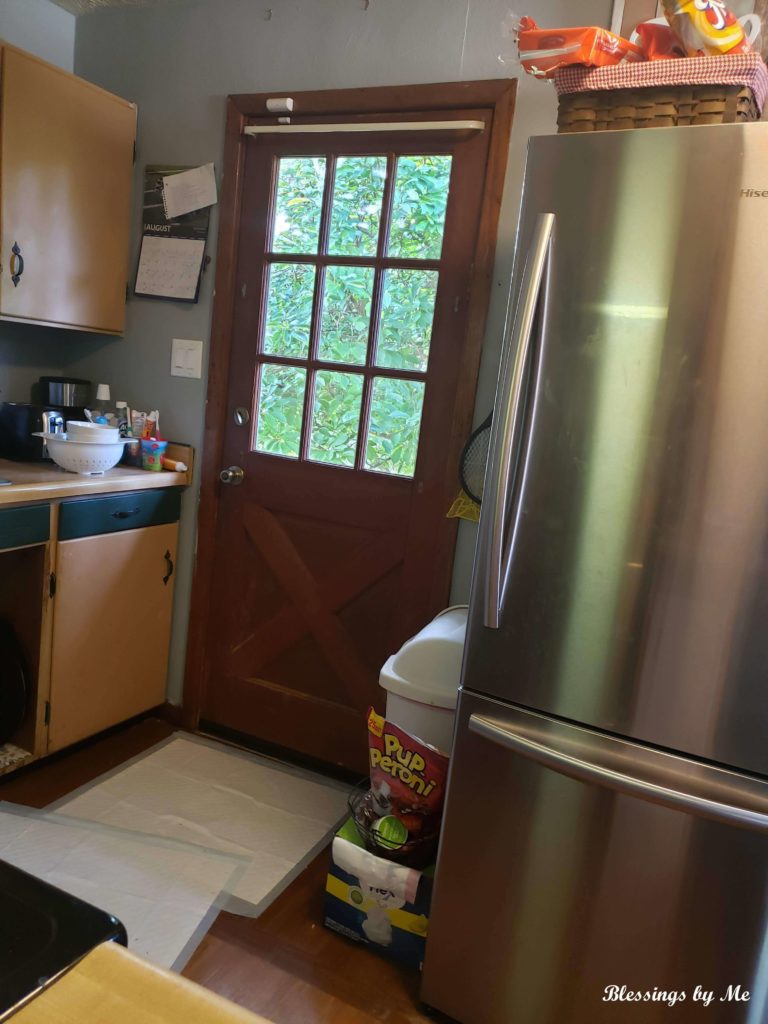 home renovation kitchen door