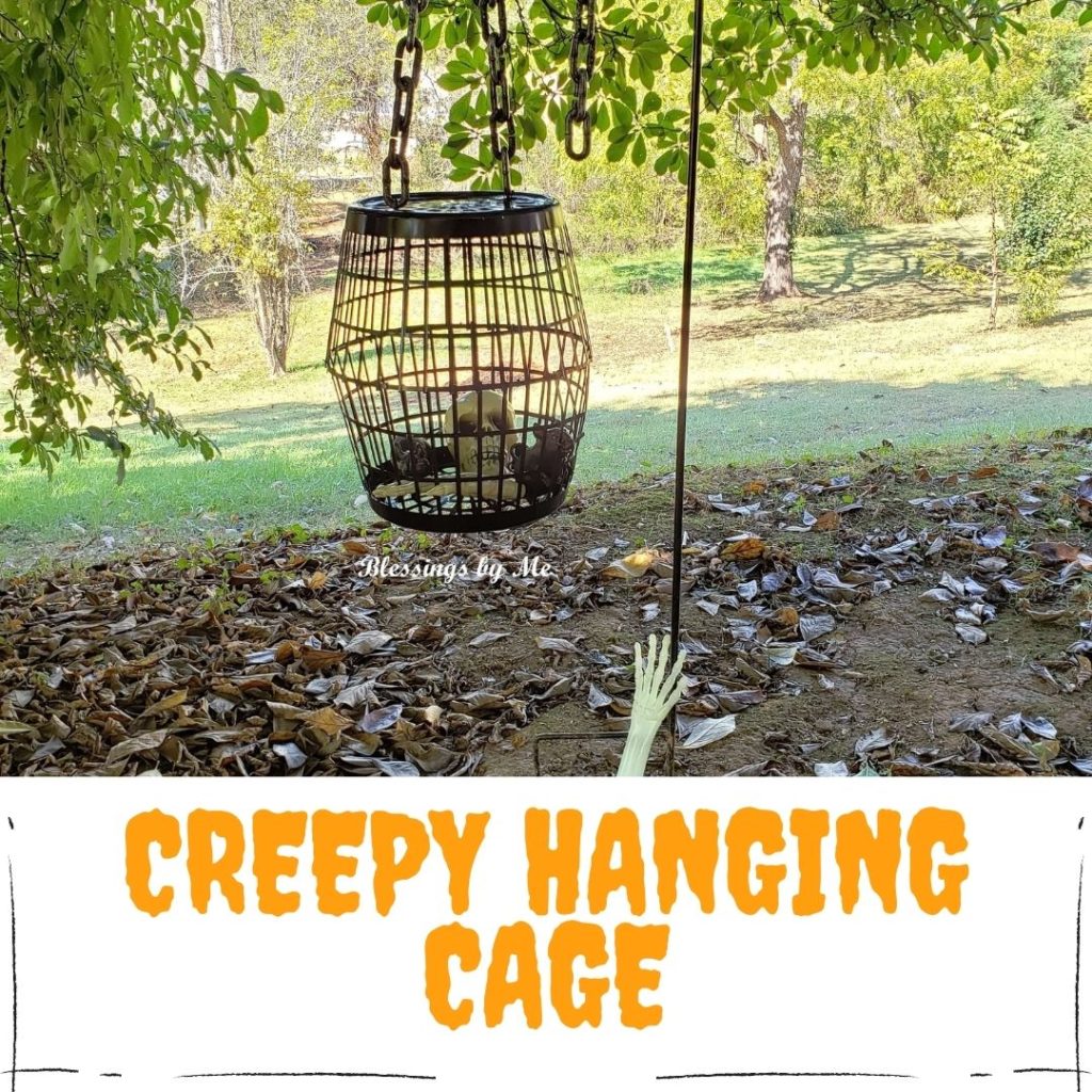 creepy hanging cage